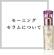 モーニングセラムについて