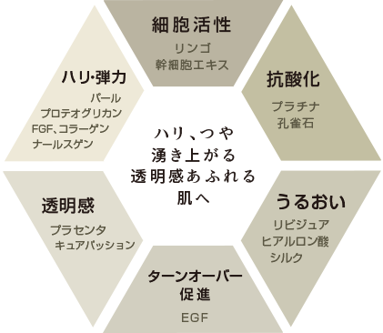 ハリ、つや湧き上がる透明感あふれる肌へ